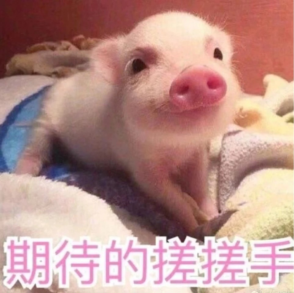 J9集团|J9九游国际